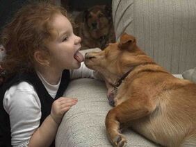 孩子亲吻狗并被寄生虫感染